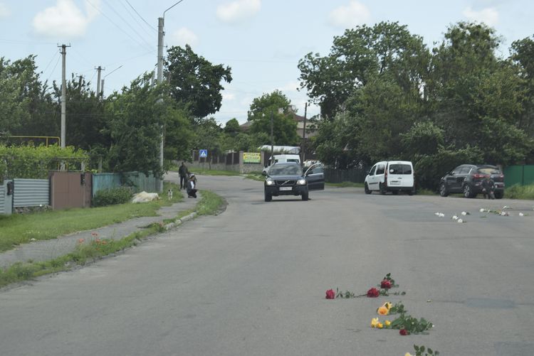 Зустріли Героя На щиті