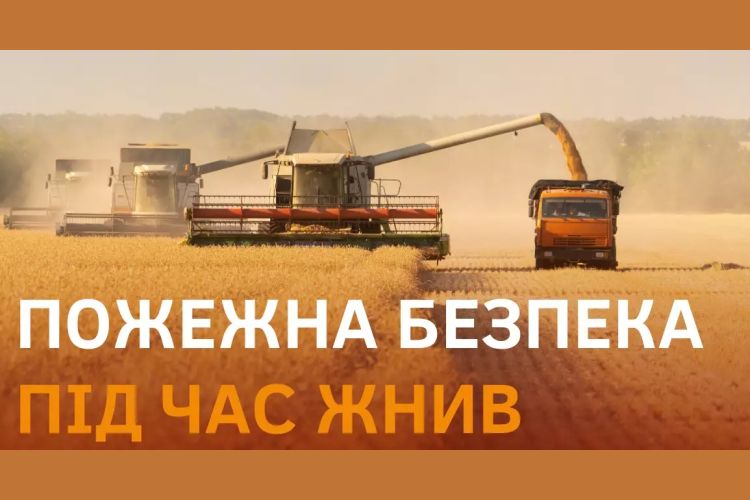 Жнива
