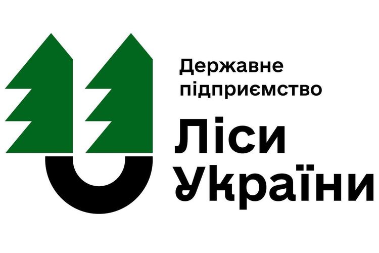 Ліси