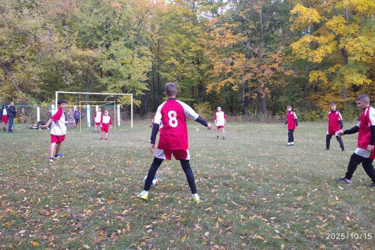 чемпіонати