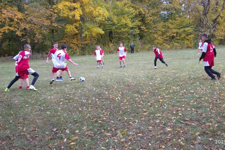 чемпіонати