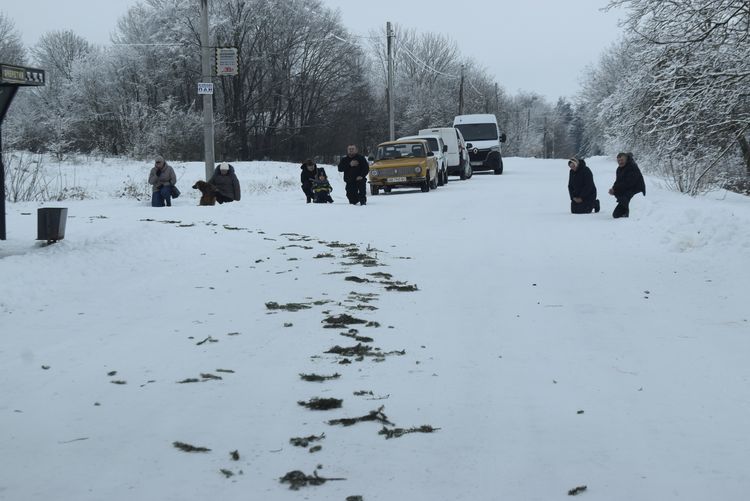Зустріч полеглого Героя