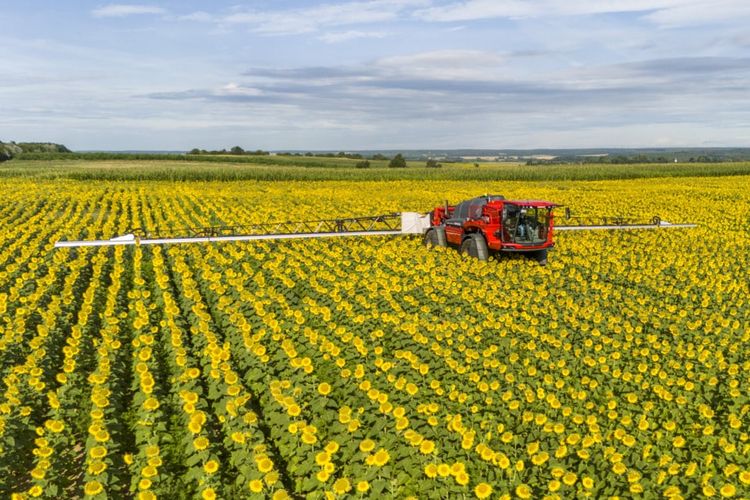 Про внесення засобів захисту рослин на посівах соняшника