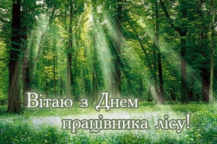 Привітання від міського голови Сергія Волинського з нагоди Дня працівників лісу
