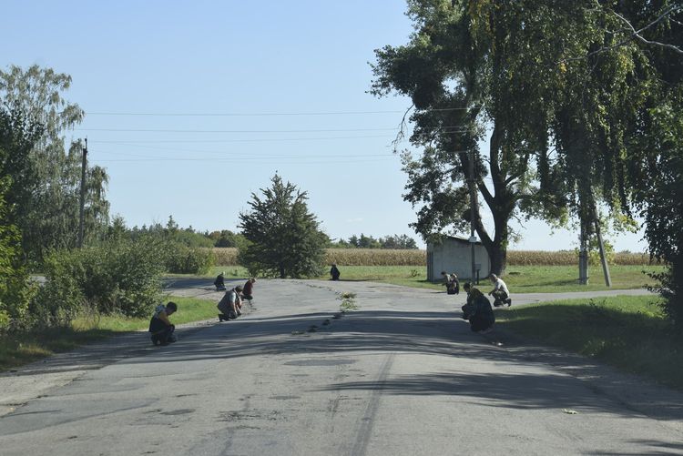 На «щиті»