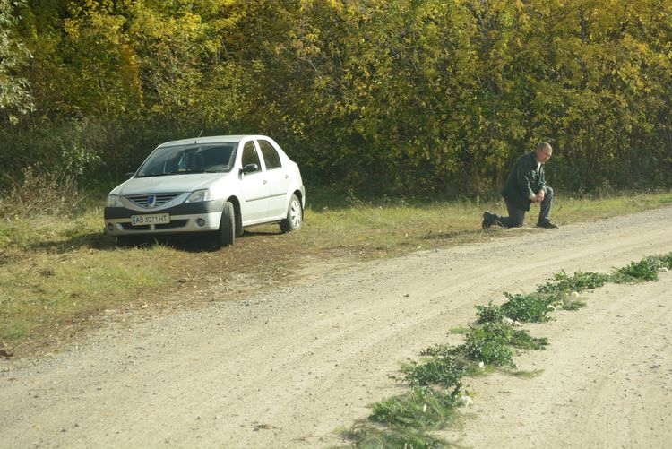 Родино, не плач, не болить вже нічого